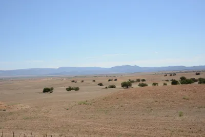 ENSC00031.jpg
